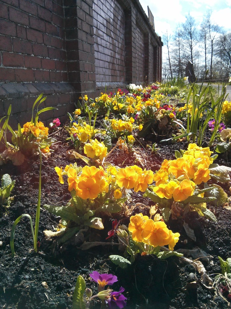 Flowers at Bowling Greens