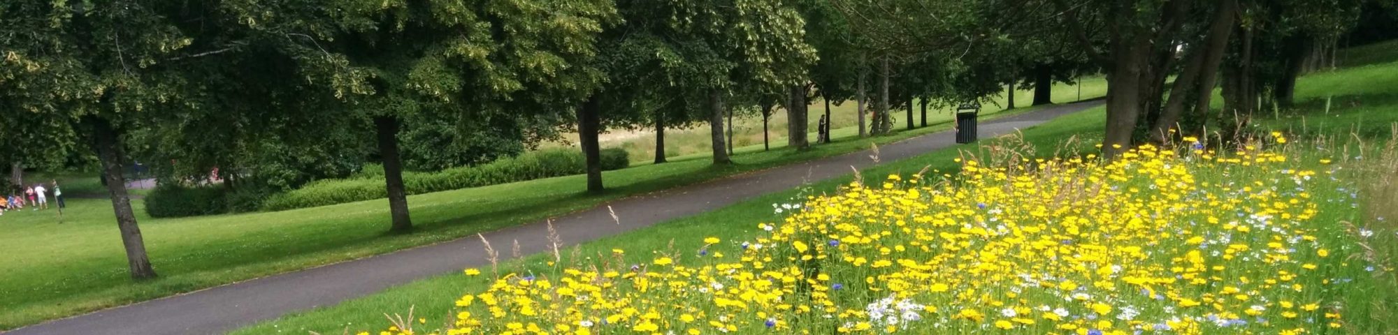 Maryhill Park